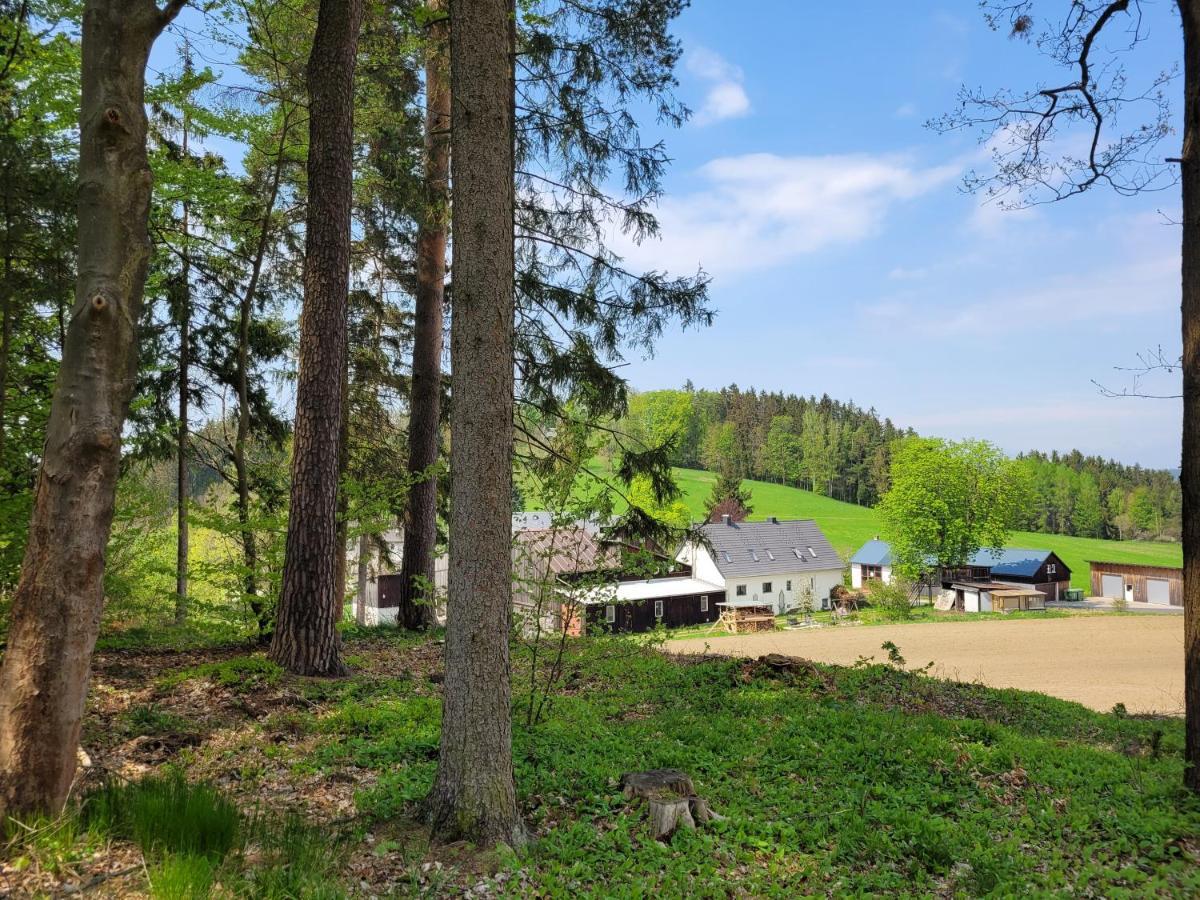 Ruhig Gelegene, Top Moderne Ferienwohnung - Hot Tub Und Sauna Gegen Aufpreis Neuhaus an Der Eger المظهر الخارجي الصورة