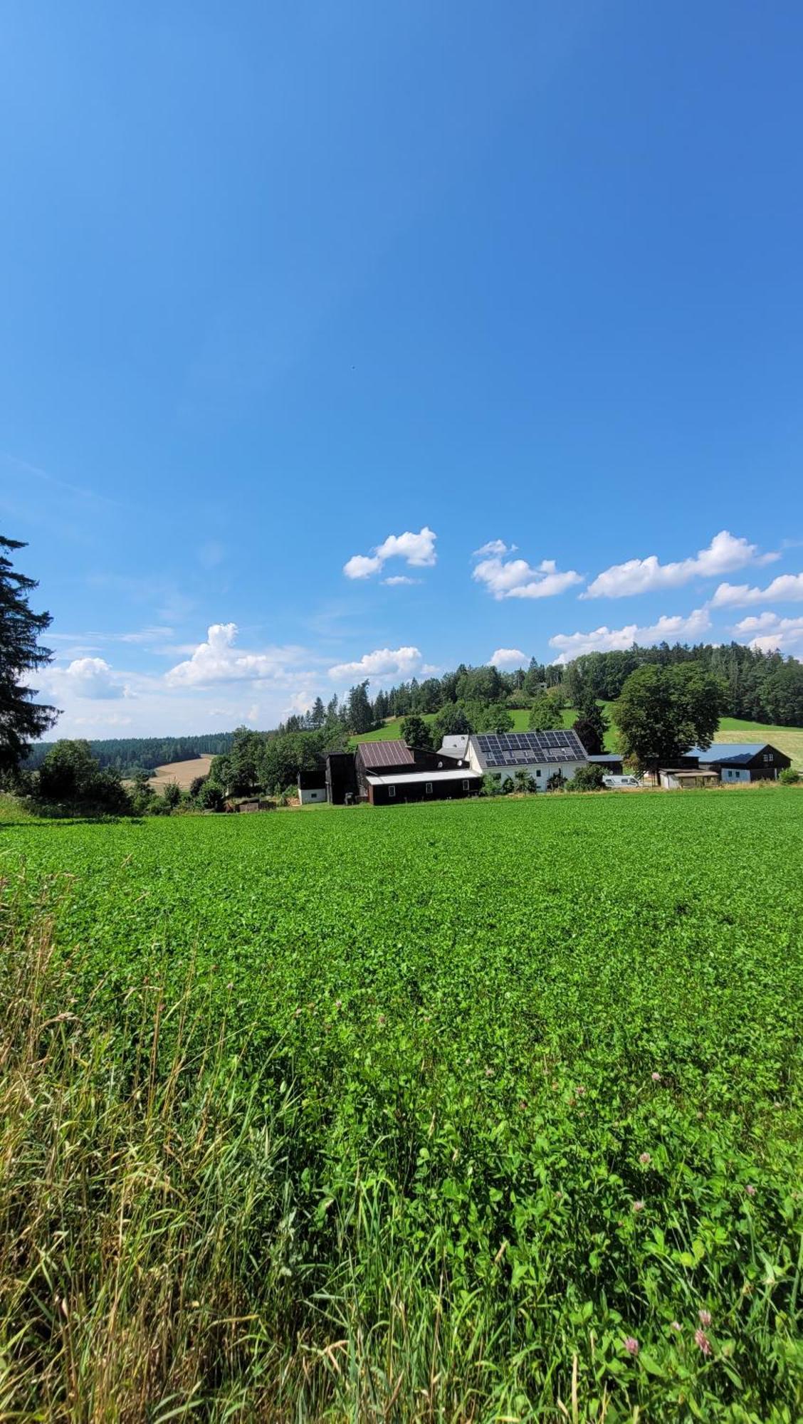Ruhig Gelegene, Top Moderne Ferienwohnung - Hot Tub Und Sauna Gegen Aufpreis Neuhaus an Der Eger المظهر الخارجي الصورة